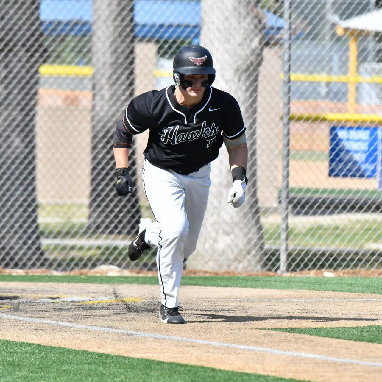 Mike Blackiston photo